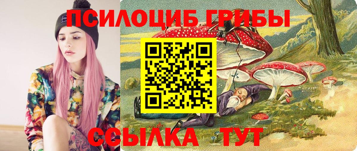 Галлюциногенные грибы мицелий  Вход с VPN  закладка  Кандалакша 